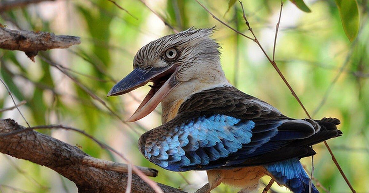 Иное название бычка кроссворд. Кроссворд на тему морские обитатели. Кейворды. Иное название бычка кроссворд. Квасворд по астрономии.