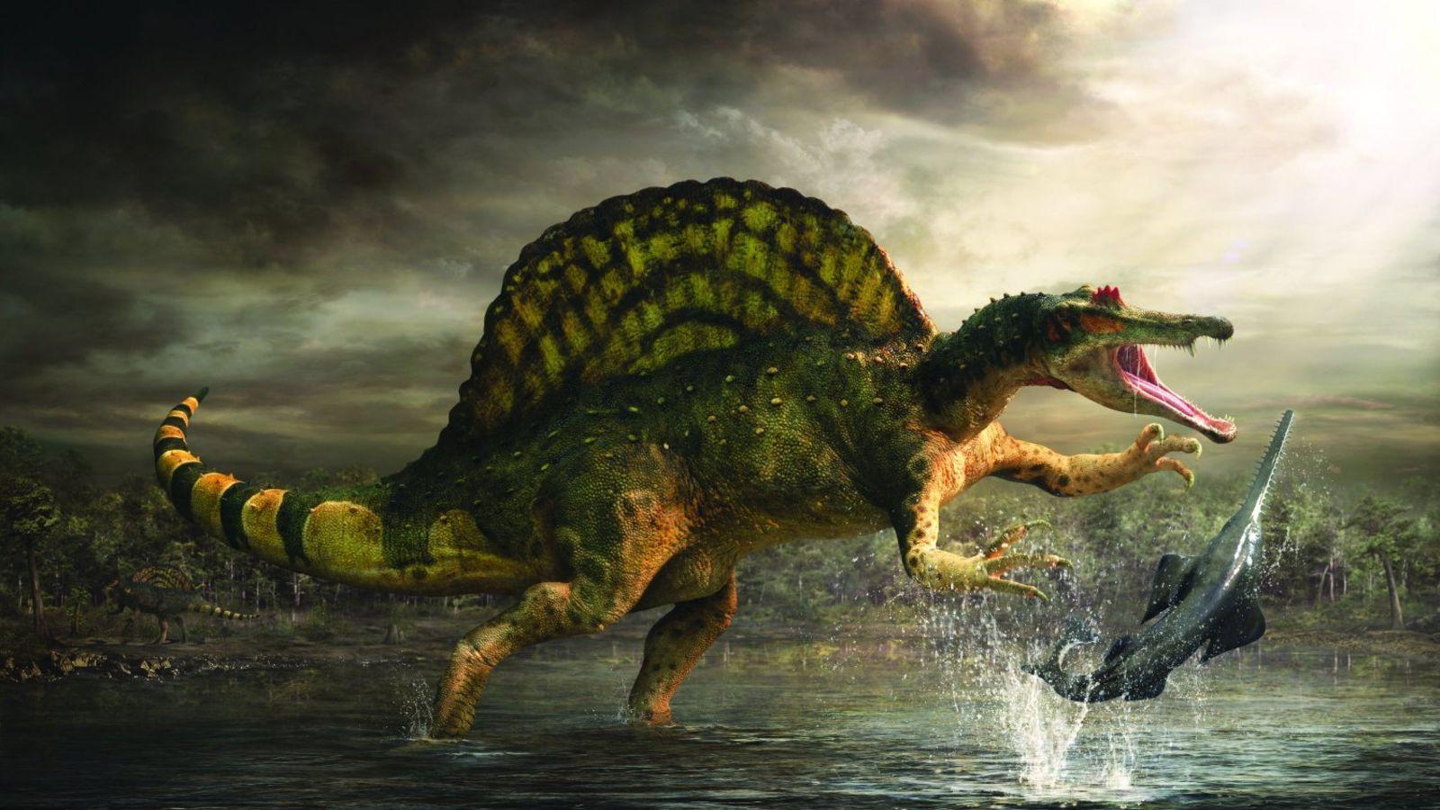Динозавр жил в воде. Спинозавр Планета динозавров. Спинозавр динозавры мелового периода. Спинозавр bbc. Спинозавр палеоарт.