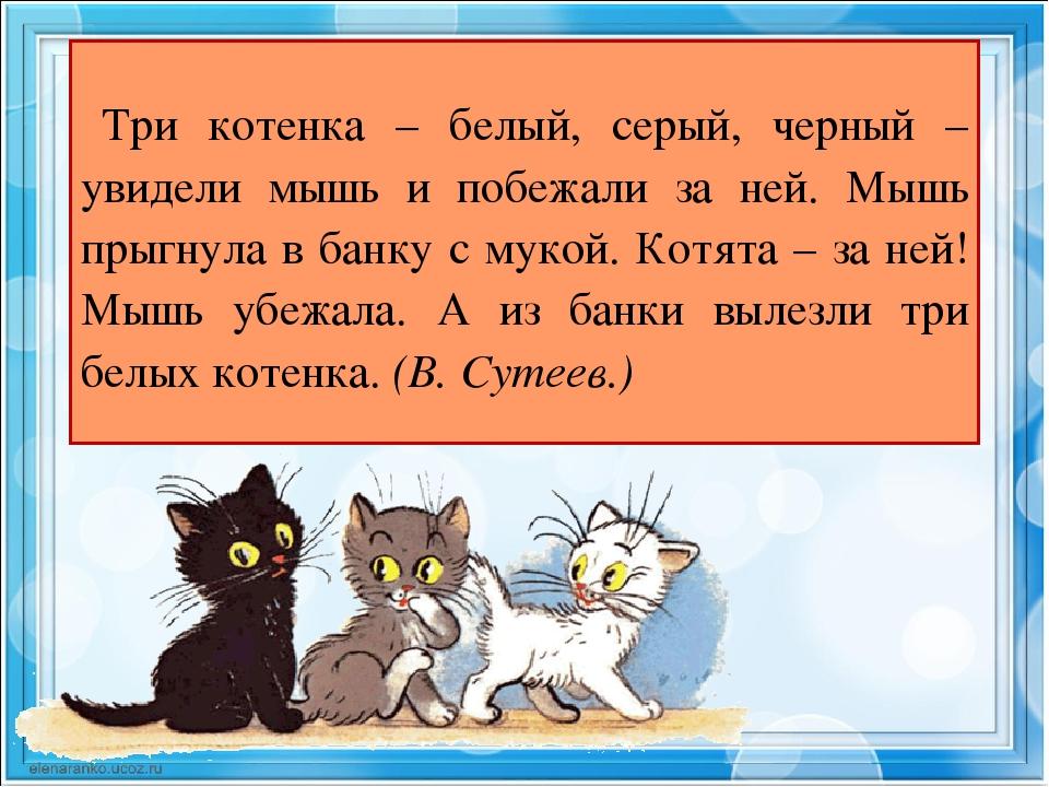 Котенок стихотворение 3 класс литературное. Три котенка стихотворение. Рассказ котенок. Предложение про котика. Текст про котенка.